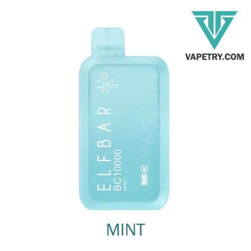 elf bar 10000 puffs mint vape try