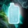 elfbar-10000-puffs-mint-vapetry-dubai Elf bar 10000 puffs mint in Dubai