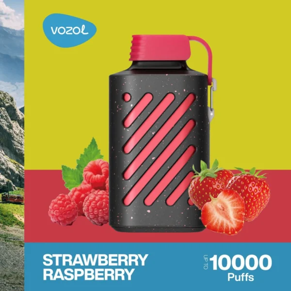 Vozol Gear 10000 Puffs Strawberry Raspberry in Dubai and UAE